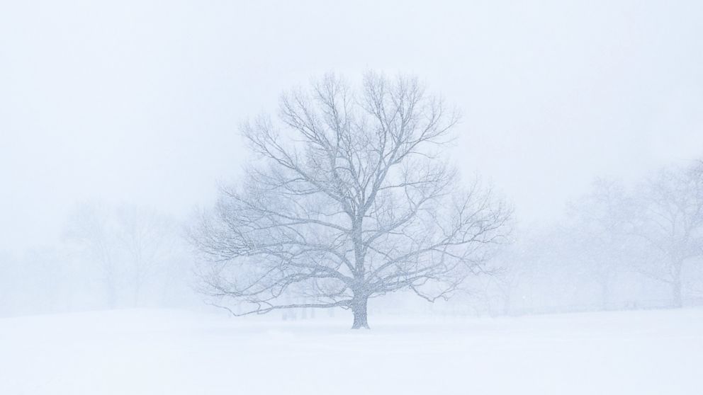 Featured image for ““Bomb Cyclone” Highlights Need for Energy Risk Management”