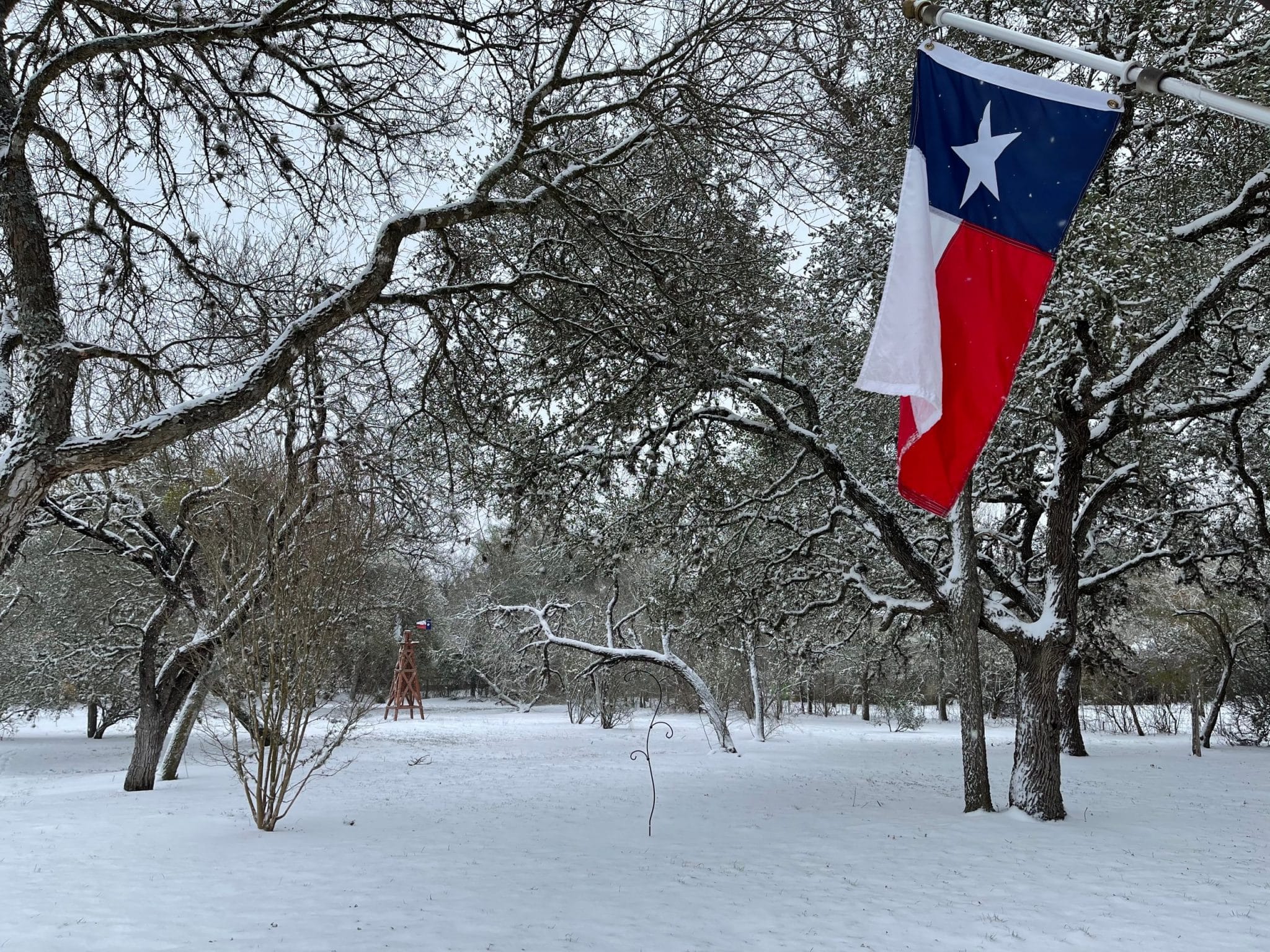 Featured image for “The Texas Power Grid Fallout: View from a Risk Manager”